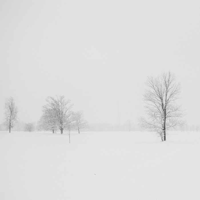 Winter dream